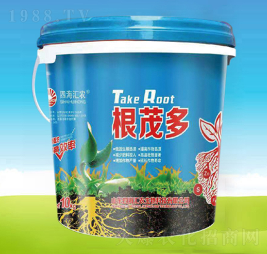 ��ï��-�ĺ��R�r