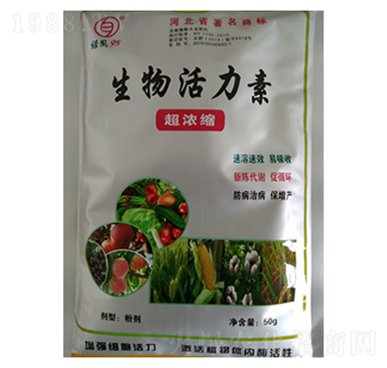 ����s���������-�G�L(f��ng)95-�G�L(f��ng)�ʘI(y��)