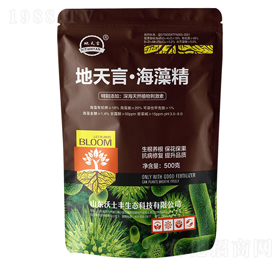 �����ԡ����徫-�����S