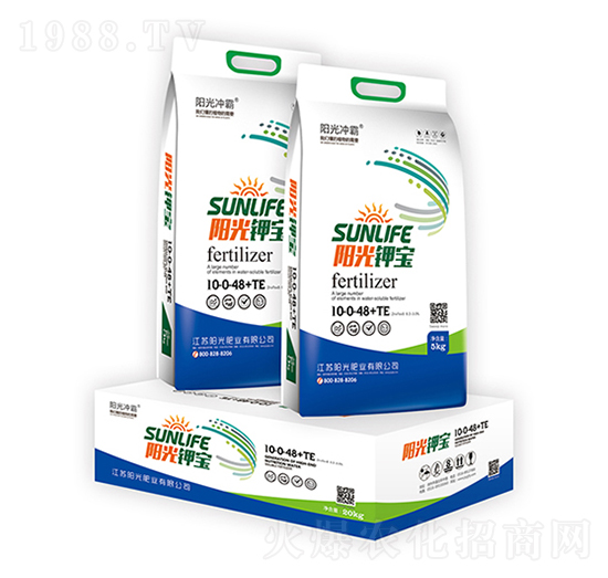 ꖹ�⛌�-ꖹ�ʘI(y��)