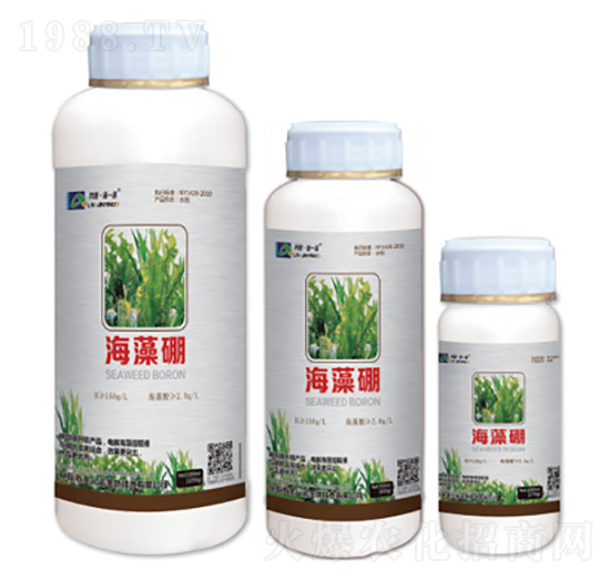 ������-��һ�Z����