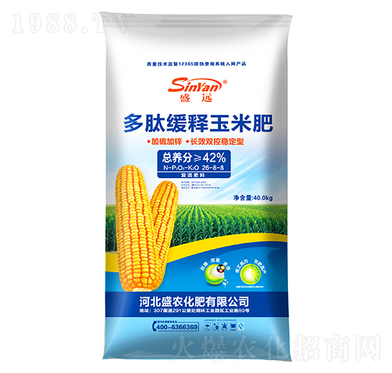 ���ľ�����׷�26-8-8-ʢ�h-ʢ�r(n��ng)����