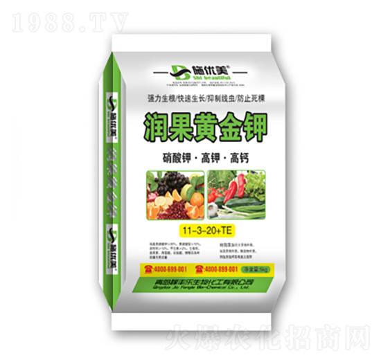 ����⛡���⛡����}11-3-20+TE-��(r��n)���S���-��������