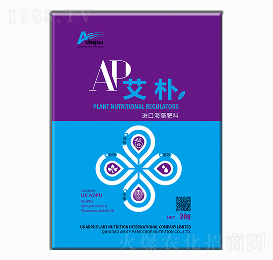 �����M�ں����-�۵�