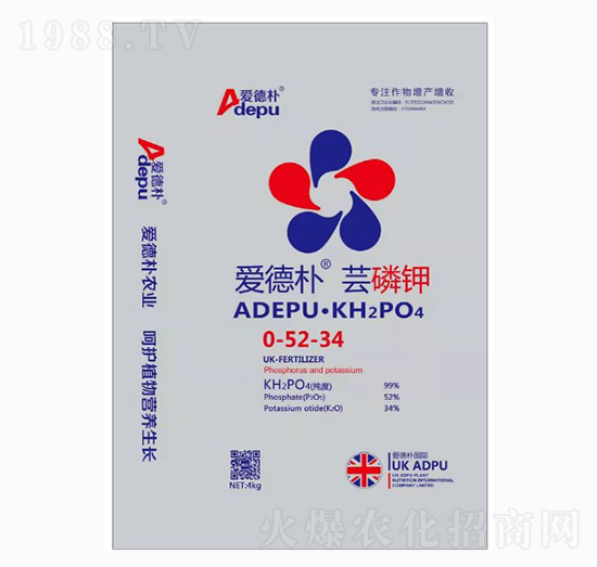 �|���0-52-34-�۵�