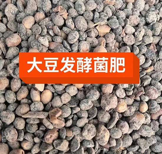 �󶹰l(f��)�;���-�P����