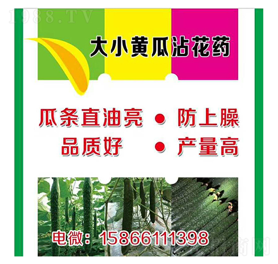 大、小黃瓜蘸花藥-美春農(nóng)業(yè)