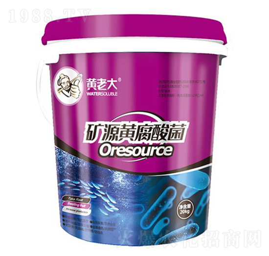 �VԴ�S�����-�S�ϴ�-�ƺ���