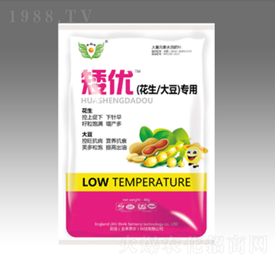 �����󶹰���(y��u)-��̫�(y��ng)�ʘI(y��)