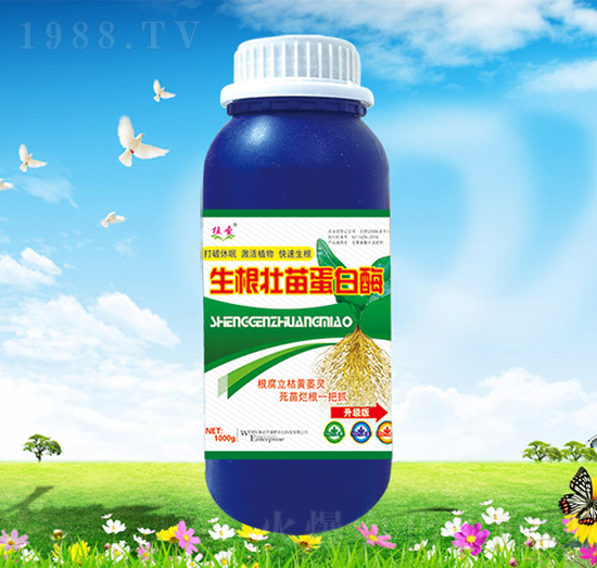 �������絰��ø-��Ұ�r(n��ng)��