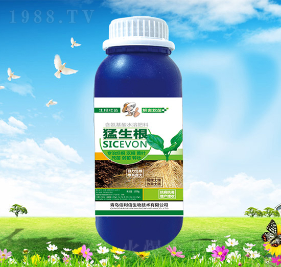 ������-��Ұ�r��