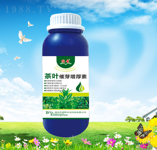 ���~��ѿ������-ֲʥ-��Ұ�r��