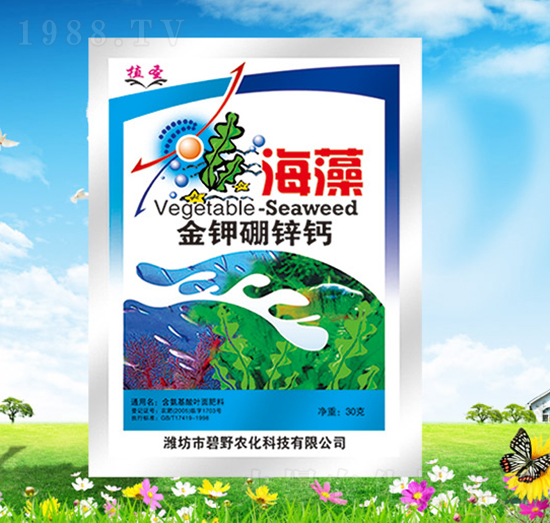 ���������\�}-ֲʥ-��Ұ�r��