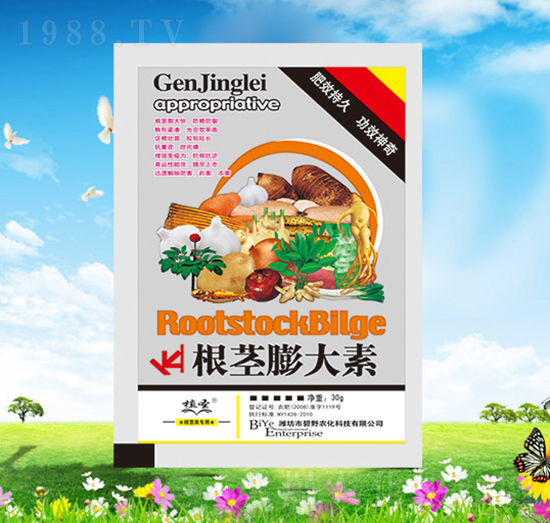 ���o�����-ֲʥ-��Ұ�r��