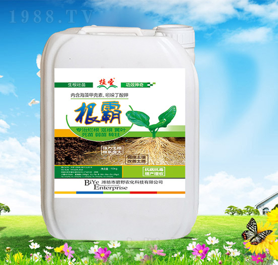 ֲʥ����-��Ұ�r��