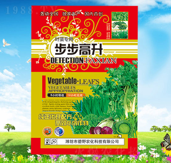 �����������~�ˌ��ã�-��Ұ�r��