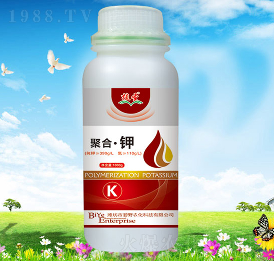 �ۺ��-ֲʥ-��Ұ�r��