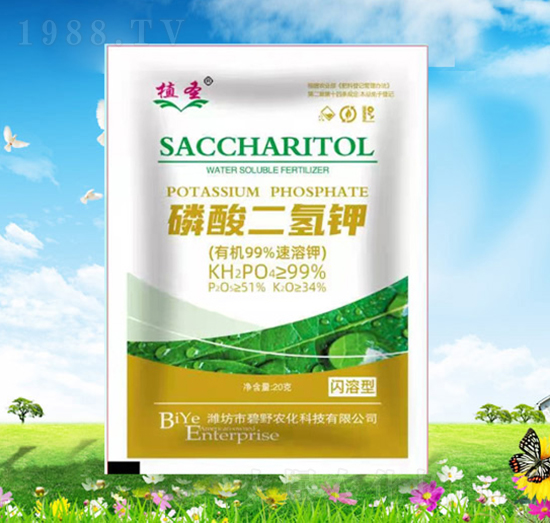 ��������-ֲʥ-��Ұ�r(n��ng)��