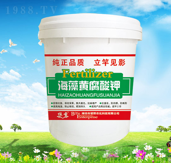 �����S�����-ֲʥ-��Ұ�r(n��ng)��