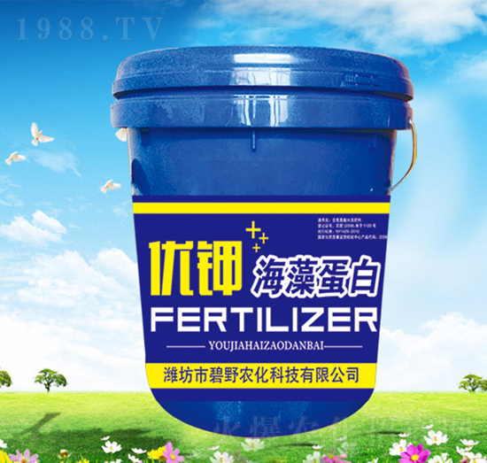 ���嵰��-ֲʥ-��Ұ�r(n��ng)��