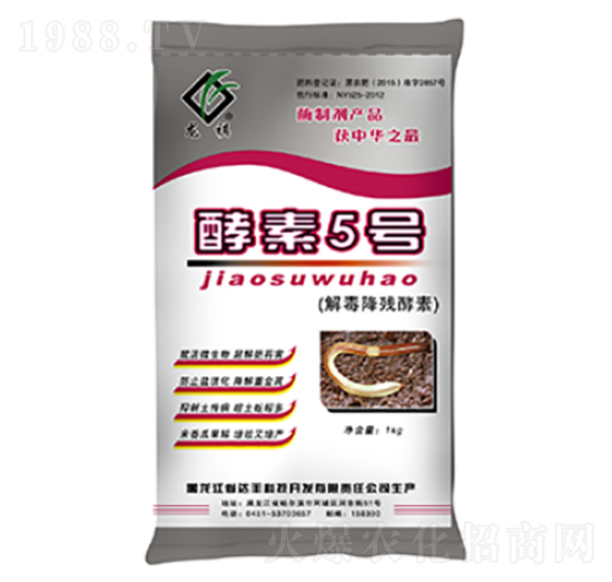 �ⶾ��������-����5̖(h��o)-�_(d��)�S