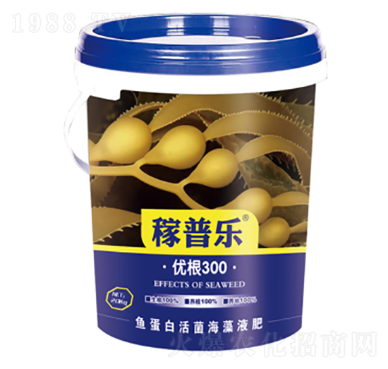 ��(y��u)��300-���՘�(l��)-��(r��n)�ɷʘI(y��)