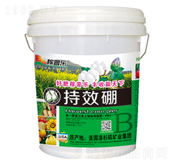 ��Ч���w����-���՘�-���ɷʘI(y��)