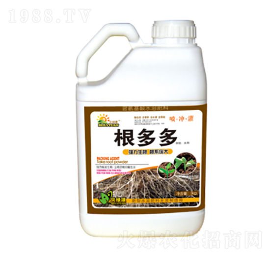 �����-���ɷʘI(y��)