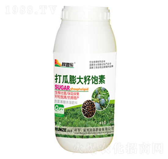 �����������-���՘�-���ɷʘI(y��)