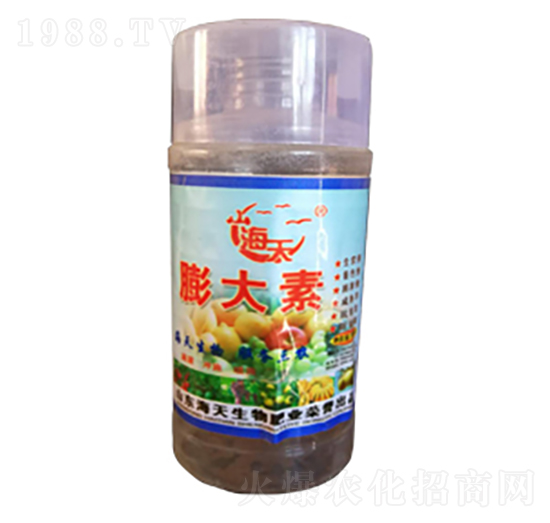 �����-��������