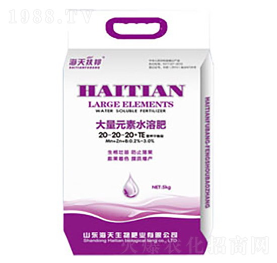 ����Ԫ��20-20-20+TE-��������