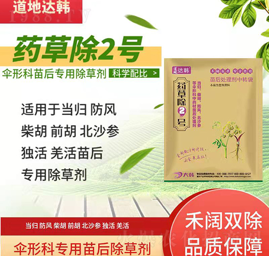 ���οƳ��݄�-���ο����-���οƌ���-ˎ�ݳ�2̖-���n