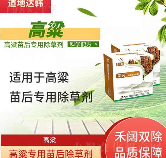 �������݄�-�������-������(zhu��n)��-���n