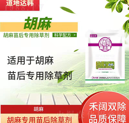 ������݄�-�������-���錣��-����-���n