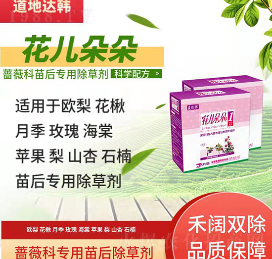 �Nޱ�Ƴ��݄�-�Nޱ�����-�Nޱ�ƌ�(zhu��n)��-�������-���n