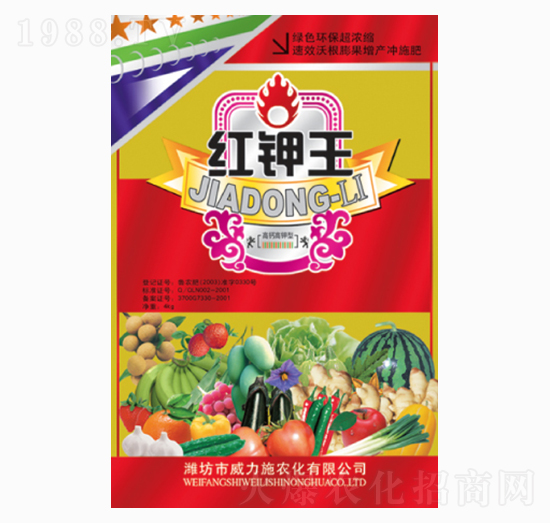 �t���4kg-����ʩ