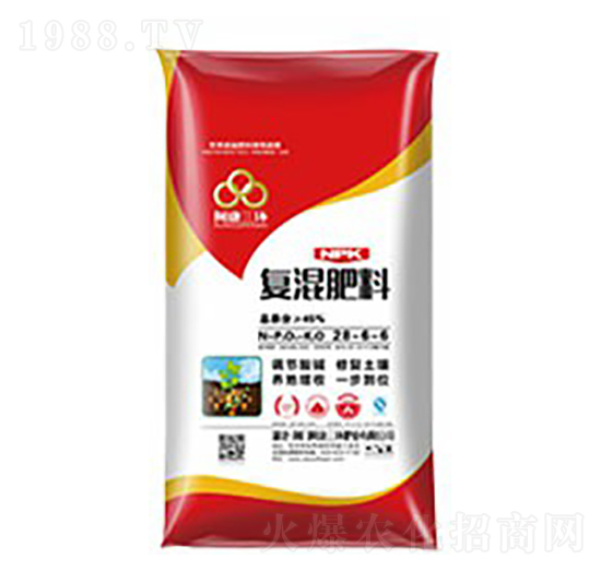 ��(f��)�����28-6-6-���S����