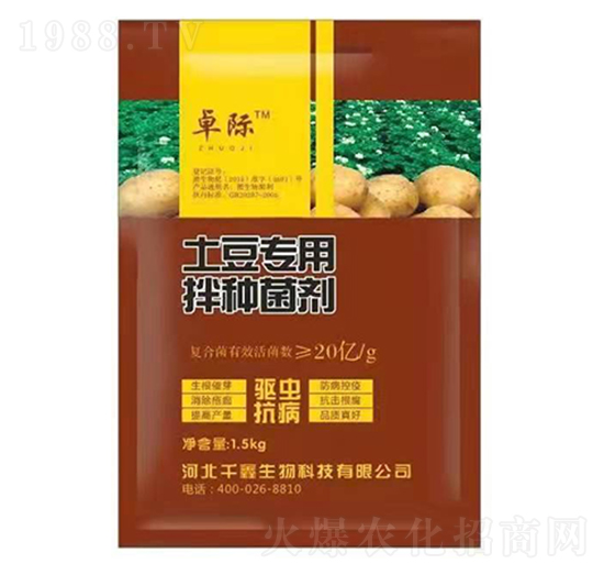 �������ð�N����-ǧ������