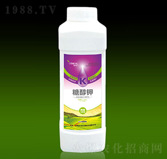 �Ǵ��-��������