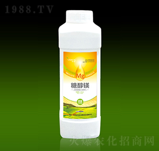 �Ǵ��V-��������