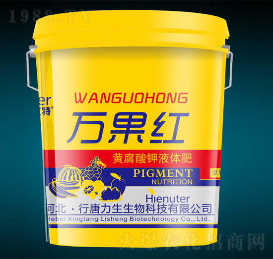 �S�����Һ�w��-�f���t-��������