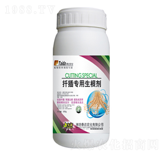 Ǥ�匣��������-̩�_�r(n��ng)��