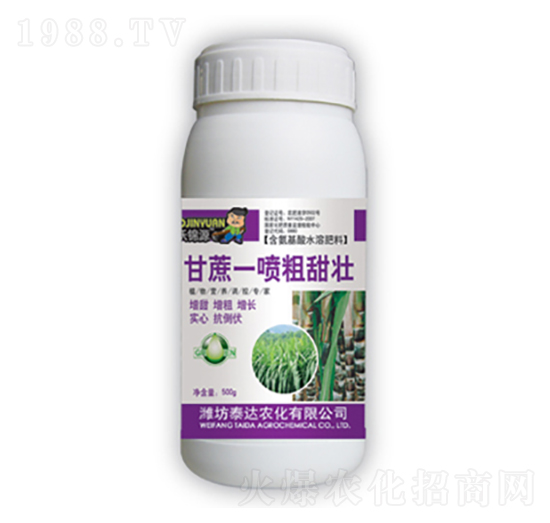 ����һ��������-̩�_�r(n��ng)��