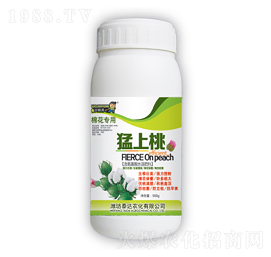 ������-̩�_�r(n��ng)��