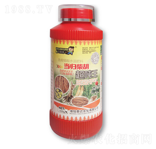 ���w���������-̩�_�r��