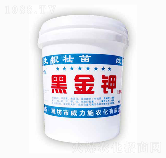 �ڽ��-����ʩ