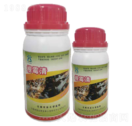 ��ù��2̖-���~����