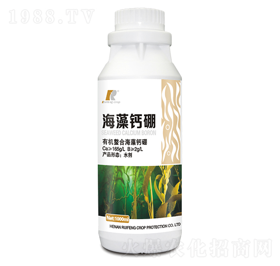 �����}��-�J�S����