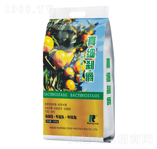 �漚�x��-�J�S����