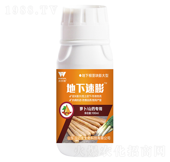 �}��ɽˎ����-��������-�֠���(y��u)